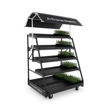 A-Frame shop display